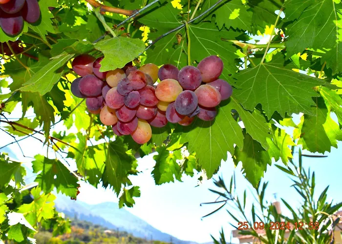 Сasa de vacaciones Mannas House 2 Émbonas