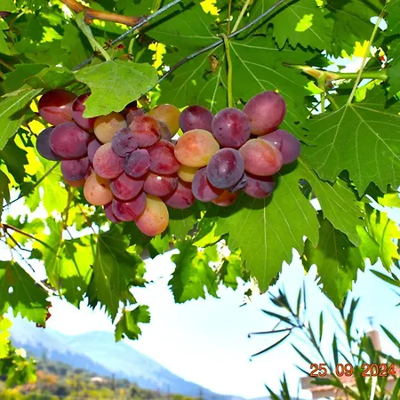 Nyaraló Mannas House 2 Émbonasz